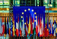 Por un modelo de transición verde en México: Plan de Acción EUROCLIMA+