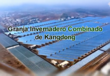 Invernadero combinado de Kangdong