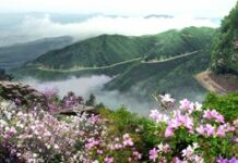 Kim Jong Il, creador de la política Songun para defender al socialismo de la RPDC