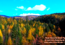 Río bajo piedras del Monte Okryon (Video corto)