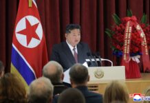 Opción de la RPD de Corea