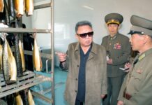 Con motivo del 14 aniversario del fallecimiento del gran Dirigente Kim Jong Il (Exposición digital)