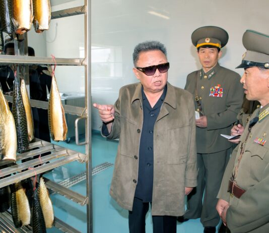 Con motivo del 14 aniversario del fallecimiento del gran Dirigente Kim Jong Il (Exposición digital)