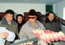 En honor al 84 aniversario del natalicio del gran Dirigente, camarada Kim Jong Il (Exposición digital, Segunda Parte)
