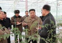 En honor al IX Congreso del Partido del Trabajo de Corea (Exposición virtual, tercera parte)